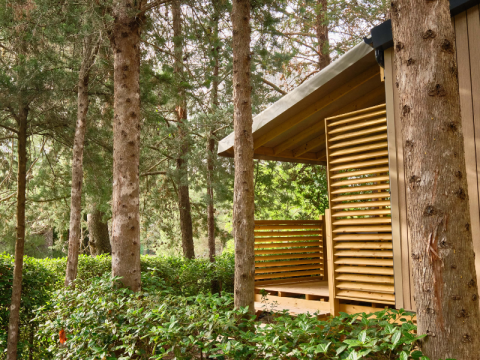Mobil Home Premium au camping La Vallée Heureuse en France, entouré d’arbres et de verdure luxuriante.