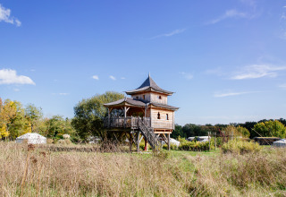 Træhytte kaldet Log cabin «Temple perché» på Domaine EcÔtelia, omgivet af natur og yurt-telte i Frankrig.