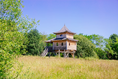 Boomhut ‘Temple perché’ bij Domaine EcÔtelia in Frankrijk, omgeven door gras en groene bomen.
