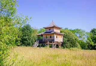Cabaña de árbol 'Temple perché' en Domaine EcÔtelia, Francia, rodeada de pradera y árboles verdes.