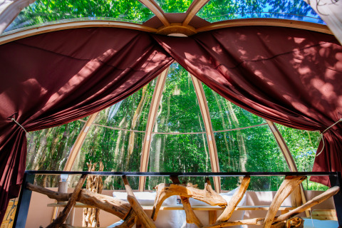 Vue intérieure de la tente safari Bubbel au Domaine EcÔtelia en France avec de grandes fenêtres sur la forêt.