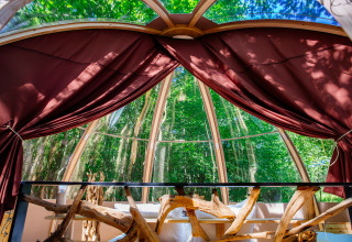 Vue intérieure de la tente safari Bubbel au Domaine EcÔtelia en France avec de grandes fenêtres sur la forêt.