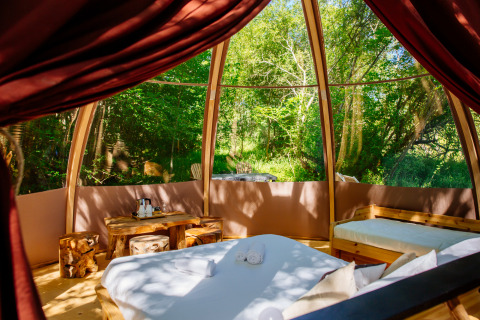Intérieur de la tente safari « Bubbel » au Domaine EcÔtelia en France, vue sur la forêt par de grandes vitres.