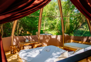 Intérieur de la tente safari « Bubbel » au Domaine EcÔtelia en France, vue sur la forêt par de grandes vitres.