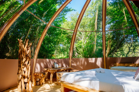 Vue intérieure de la tente safari Bubbel au Domaine EcÔtelia, France, avec lit en bois et vue forêt.