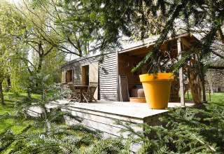 A wooden lodge with a deck, garden furniture, and a large orange flower pot surrounded by green trees.