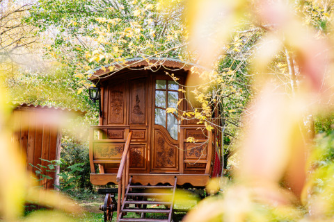 Encantadora caravana gitana de madera en Domaine EcÔtelia, Francia, rodeada de vegetación otoñal y naturaleza.