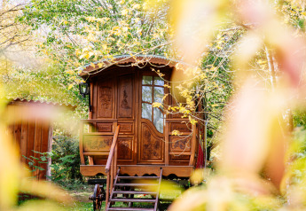 Holz-Gypsywagen mit kunstvollen Schnitzereien bei Domaine EcÔtelia in Frankreich, umgeben von herbstlichem Grün.