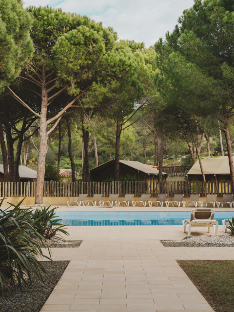 Poolbereich mit Liegestühlen und Pinien im Wecamp L'Escala Punta Mila Ferienpark in Katalonien, Spanien.