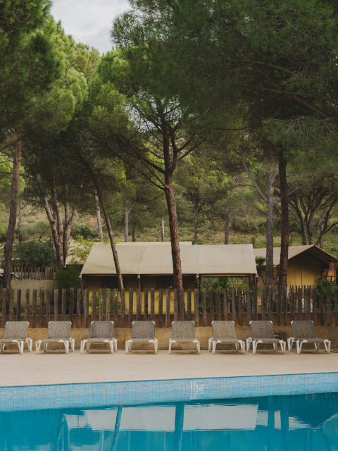 Ligstoelen bij het zwembad van Wecamp L'Escala Punta Mila, omgeven door pijnbomen in Catalonië, Spanje.