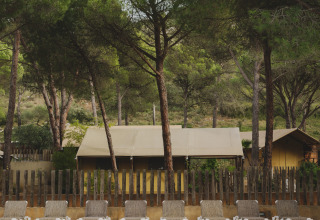 Lettini a bordo piscina a Wecamp L'Escala Punta Mila, circondati da pini in Catalogna, Spagna.