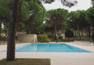 Outdoor swimming pool with sun loungers and pine trees at Wecamp L'Escala Punta Mila holiday park in Catalonia.