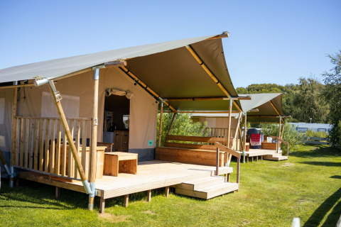 Spacious safari tents with wooden decks on green grass, set under a clear blue sky in nature.