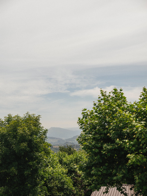 Uitzicht op groene boomtoppen en verre bergen nabij San Sebastián, Baskenland, Spanje onder een bewolkte hemel.