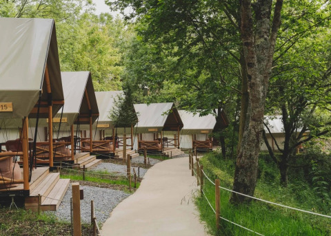 Safari tenten langs een bospad, ideaal voor comfortabel glampen en genieten van de natuur.