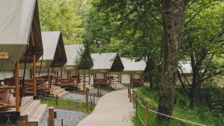 Tiendas tipo safari alineadas en un bosque, ideales para una experiencia de glamping confortable y natural.