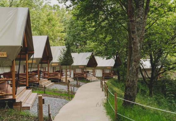 Tiendas tipo safari alineadas en un bosque, ideales para una experiencia de glamping confortable y natural.
