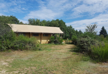 Foto de la tienda safari 'Luxury and spacious Eco-lodge' en el Campamento Junora en Francia, rodeada de vegetación.