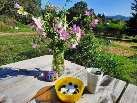 Colazione all'aperto in un lodge: fiori selvatici, yogurt ai frutti di bosco e tisana su panca di legno.
