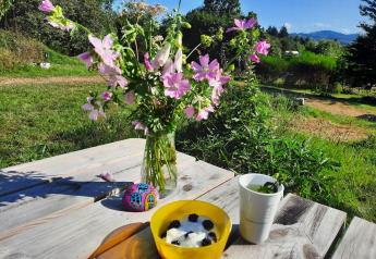 Colazione all'aperto in un lodge: fiori selvatici, yogurt ai frutti di bosco e tisana su panca di legno.