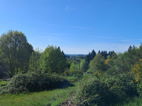 Beautiful view of green trees and shrubs under a clear blue sky, photographed from a countryside lodge.