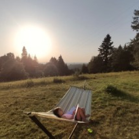 Persoon genietend van een boek in een hangmat op het grasveld bij een lodge tijdens de zonsondergang.