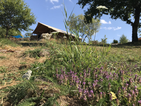 Luxury and spacious Eco-lodge safari tent at Campsite Junora in France, nestled in greenery and wildflowers.