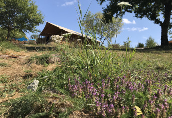 Tenda safari Eco-lodge lussuosa e spaziosa al campeggio Junora in Francia, immersa nel verde e fiori selvatici.