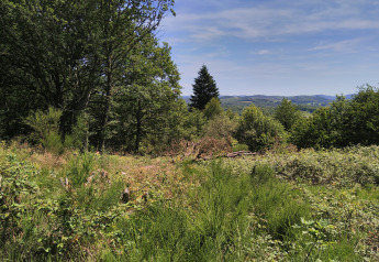 View of lush greenery and hills from Bell XL family tent at Campsite Junora, France on a sunny day.
