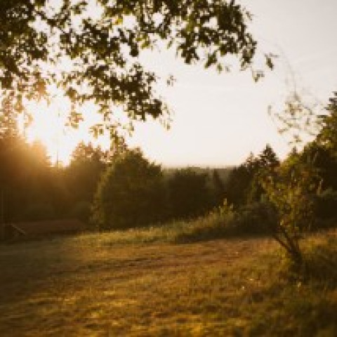 Vista del tramonto presso Bell XL family tent al Campsite Junora in Francia, con alberi e prato.