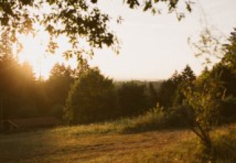 Vue du coucher du soleil au Bell XL family tent au Campsite Junora en France, avec arbres et prairie.
