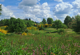 Vista pittoresca di prati verdi, fiori selvatici e alberi sotto il cielo blu al campeggio Junora in Francia.