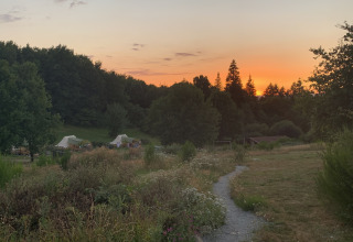 Zonsondergang bij Campsite Junora in Frankrijk met bloemenweide, pad en tenten bij de Avignon-lodge.