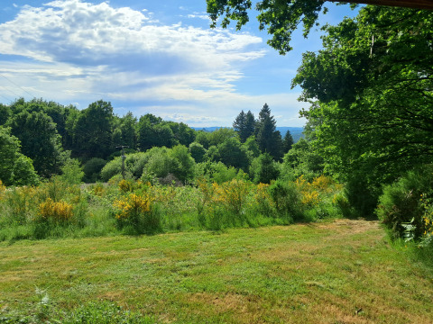 Uitzicht op groene natuur en bomen vanaf de Avignon-lodge bij Camping Junora in Frankrijk op een zonnige dag.
