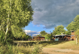 Groen terrein met bomen en houten huisjes bij Eco-Chalet EXTRA op Camping Junora, Frankrijk.
