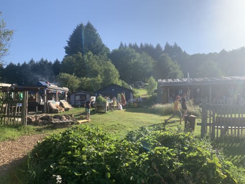 Families and children playing and relaxing in sunshine at Bell tent 6M at Campsite Junora, surrounded by nature.