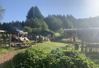 Families and children playing and relaxing in sunshine at Bell tent 6M at Campsite Junora, surrounded by nature.