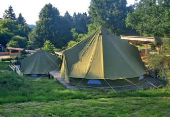 Deux tentes Bell sur plateforme en bois à Bell tent 6M lodge, entourées de verdure et d’arbres majestueux.