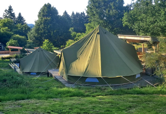 Two bell tents on a wooden platform at Bell tent 6M lodge, surrounded by lush greenery and tall trees.