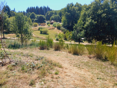 Scenic view of grassy hills, trees, and Bell tents at Junora Campsite lodge in France under clear sky.