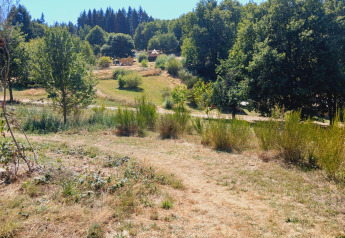 Blick auf eine grüne Wiese mit Bäumen und Bell-Zelten auf dem Campingplatz Junora in Frankreich.