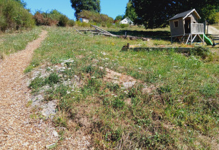 Woodchip path leads to a small wooden hut and grassy camp area at Bell tent 6M, Campsite Junora, France.