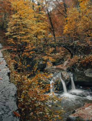 Forêt - Voda-Tent - Camping Vallée de L_Our - Untereisenbach - Vianden - Luxembourg