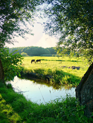 Akkers - Vodatent - Camping de Zeven Heuveltjes - Ees - Drenthe - Netherlands