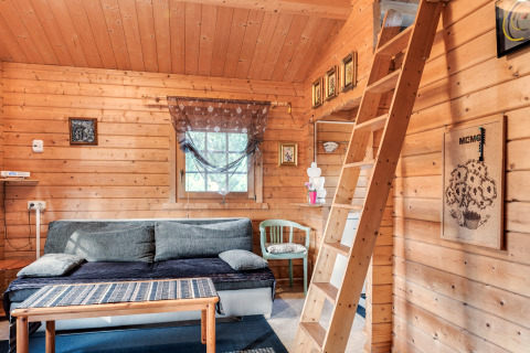 Cozy cabin interior at Niederaula, Germany, featuring a wooden loft ladder, sofa, and rustic decor.