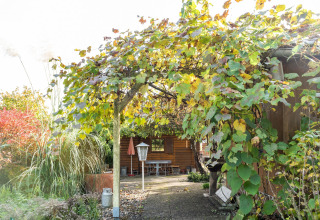 Hyggelig hytte med en overdækket terrasse og frodige planter ved Niederaula, Tyskland, om efteråret.