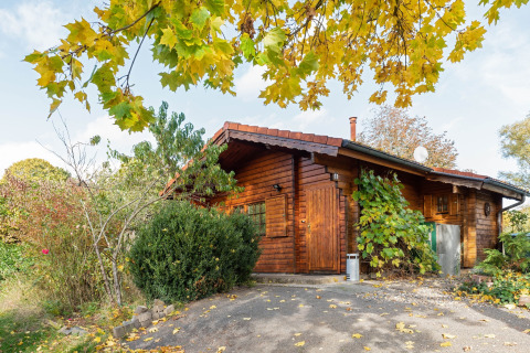 Træhytte kaldet 'Niederaula' omgivet af grønne planter og efterårsblade, beliggende i Tyskland.