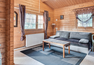 Hyggelig stue med trævægge, grå sofa og træbord i en hytte ved Niederaula, Tyskland.
