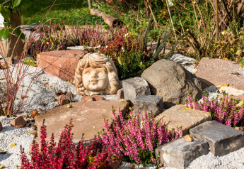 Stenhavedekoreret have med lilla lyng og en skulptur af et barnehoved ved hytten Niederaula, Tyskland.