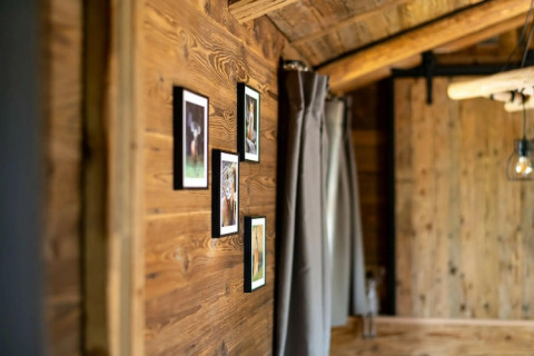 Interior de una tiny house en Alemania con paredes de madera, cuatro fotos de animales y una ventana con cortina.